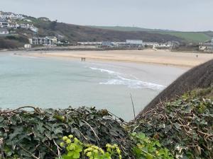 a view of a beach from a hill with bushes at Ocean View Beach Rd in Newquay