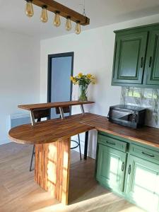 une cuisine avec des placards verts et un comptoir en bois dans l'établissement Vue unique sur le Mont St Michel, à Huisnes-sur-Mer