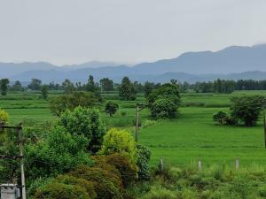 un campo verde con árboles y montañas al fondo en Atithi home stay, en Rāmnagar