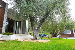マッティナータにあるGiardino Don Berardinoの家の隣の庭の木