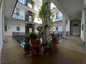 an empty hallway with potted plants in a building at Danube river view close to Parlament in Budapest