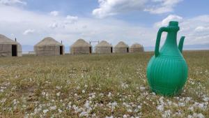 um vaso verde sentado no meio de um campo em Yurt camp ALI-NUR at lake Song-Kol юрточный лагерь Али-Нур озеро Сон-Куль Сон-Куль Кыргызстан Нарын Kyrgyzstan Naryn em Naryn