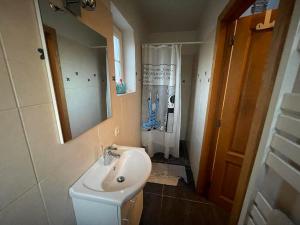 a bathroom with a sink and a mirror at L'enjo'Leuze in Winée +8 photos
