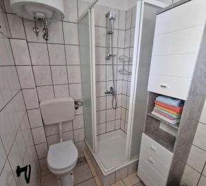 een kleine badkamer met een toilet en een douche bij Villa Renata in Privlaka