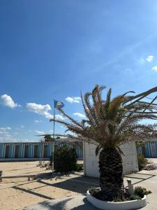 Φωτογραφία από το άλμπουμ του Appartamento Stella Di Mare σε Campomarino