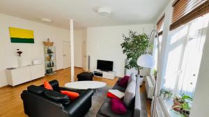 TV a/nebo společenská místnost v ubytování Großes und helles Innenstadt Apartment - Ferienwohnung