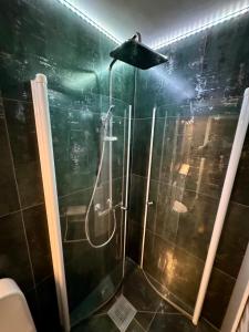a shower with a shower head in a bathroom at Horten center in Horten