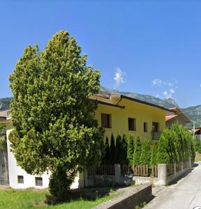 a large tree in front of a house at Sunflower Apartment in Belluno