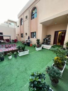 a courtyard with potted plants in front of a building at The Villa Hostel Abu Dhabi in Abu Dhabi