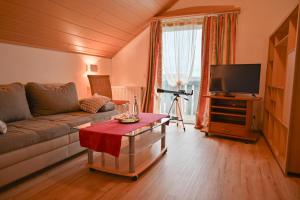 ein Wohnzimmer mit einem Sofa und einem TV in der Unterkunft Grüner Baum in Külsheim