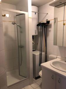 une salle de bain avec une douche, des toilettes et un lavabo dans l'établissement Residentie Koksijde promenade, à Coxyde 141 autres photos