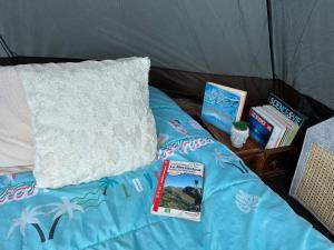 ein Bett mit Kissen und Büchern darauf in der Unterkunft Tipi sous les étoiles service petit déjeuner et dîner in Lucéram