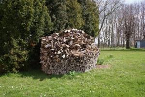 uma pilha de madeira sentada na relva em Kleines Fischerboot 1 - ABC214 