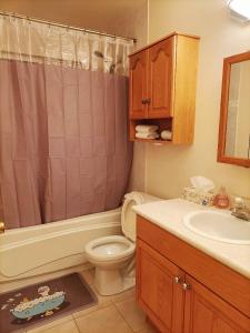 a bathroom with a toilet and a sink at Llt Fraser HomeAway in Vancouver