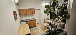 a small kitchen with a table and a plant at Sen's Studio in Leskovac