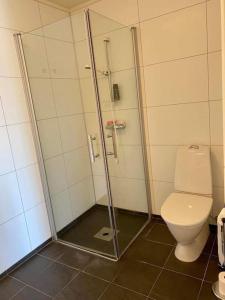 a bathroom with a shower and a toilet at Leilighet sentralt på Senja in Silsand