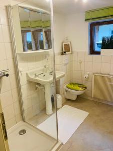 ein Bad mit einer Dusche, einem Waschbecken und einem WC in der Unterkunft Ferienwohnung unter dem Reetdach in Wustrow