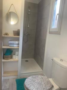 een badkamer met een douche, een toilet en een wastafel bij La Roulotte U Sognu in Muro