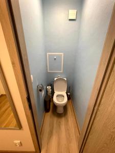 een kleine badkamer met een toilet in een stal bij Útulný byt pro odpočinek i práci in Kutná Hora