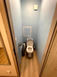 a small bathroom with a toilet in a stall at Útulný byt pro odpočinek i práci in Kutná Hora +5 photos