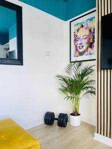 a living room with a potted plant and a mirror at Tiger House - Driveway & Garden. Airport location! in Luton