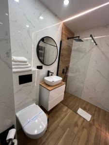 クリニツァ・ズドルイにあるHoliday Apartmentsのバスルーム(トイレ、洗面台、鏡付)