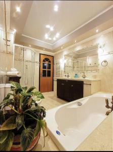 a large bathroom with a large tub and a plant at VILA KALIELAIA in Mouzákion