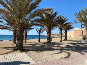 une rangée de palmiers sur une plage de sable dans l'établissement Casa en la Isla de Tabarca, à Tabarca