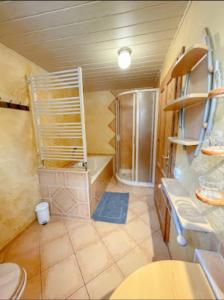 バート・シャンダウにあるFerienhaus Rudolphの小さなバスルーム(シャワー、トイレ付)