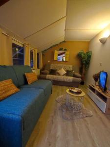 a living room with a couch and a table at Le Cosy Fleuri, vue sur la montagne avec velux in Ustou