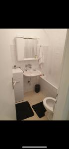 Koupelna v ubytování Apartman Ivan