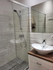 La salle de bains est pourvue d'un lavabo et d'une douche en verre. dans l'établissement Novo Mundo, à Varsovie