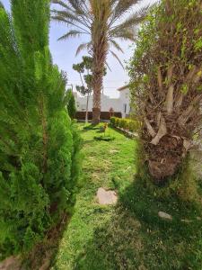 Een tuin van ARABESK