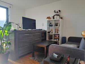 טלויזיה ו/או מרכז בידור ב-Appartement Paris OG