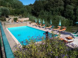 a swimming pool with lounge chairs and umbrellas at La Canonica di Alica in Palaia
