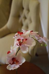 un grupo de flores rosas sentadas en una mesa en Hotel Intersur Recoleta en Buenos Aires