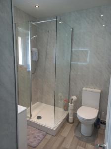 a bathroom with a shower and a toilet at Sea Breeze Studio @ The Coach House in Saint Annes on the Sea