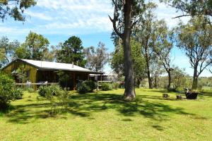 una casa en un campo con un árbol en Little House in the Nursery grounded and welcoming, en Wallabadah