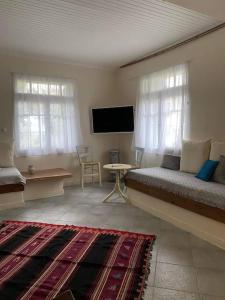 - un salon avec un lit et une télévision à écran plat dans l'établissement La Casa di Rena, à Ano Poroia