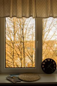 a window with a clock in front of a tree at Gaujas naktsmājas in Valmiera