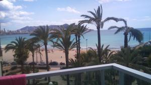 vistas a una playa con palmeras y al océano en Apartamento Mirador de la Cala JPC, en Benidorm