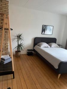 um quarto com uma cama e piso em madeira em Anna em Aalborg