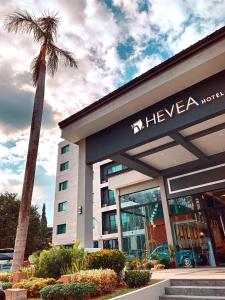 a hotel with a palm tree in front of a building at Hevea Hotel & Resort in Angeles