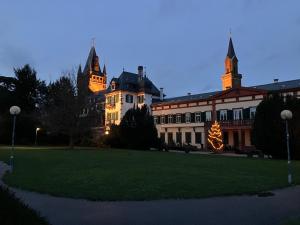 Um edifício com uma árvore de Natal à frente. em Rosie's Place: Furnished Apartment with Style em Weinheim