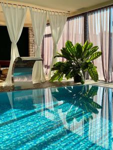 a swimming pool with a plant in a room at Royal SPA & Hotel Resort in Rīga