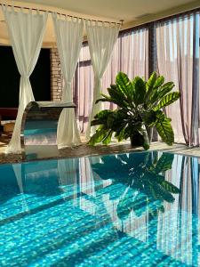 una piscina con una planta en una habitación en Royal SPA & Hotel Resort, en Riga