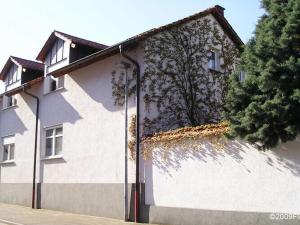 una casa blanca con una hiedra creciendo a su lado en Holiday Apartment Fewo II Fig View, en Speyer