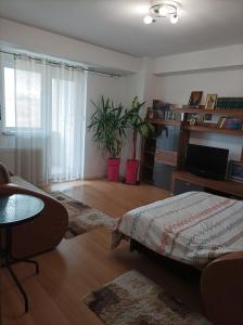 a living room with a couch and a table at Apartament Alex in Alba Iulia