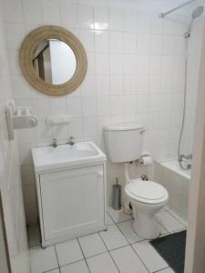 a bathroom with a toilet and a sink and a mirror at 1 Bedroom Apartment Tygervalley in Cape Town