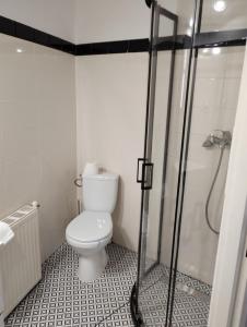 a small bathroom with a toilet and a shower at Apartament - Mieszkanie Samodzielne in Inowrocław